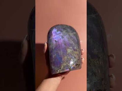 Extra Large Purple Flash Labradorite Standing  Freeform – Option D