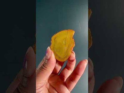 Agate Slice Option F | One-of-a-Kind Polished Natural Agate Display Piece