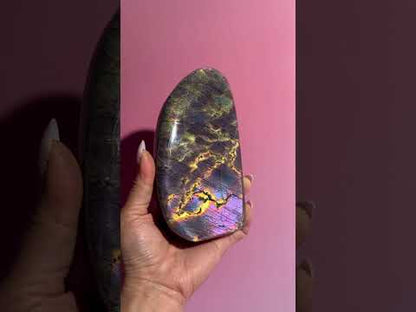 Large Oil Slick Yellow and Purple Flash Labradorite Standing  Freeform – Option Q