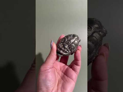 Pyrite Money Toad | Intuitively Chosen Wealth, Success & Protection Energy