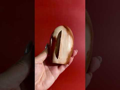 Carnelian Orca Agate Standing Freeform – Option E | Joy, Abundance & Natural Druzy Collector Crystal