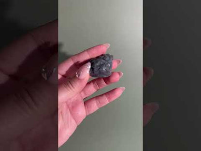 Flashy Labradorite Money Toad – Option C