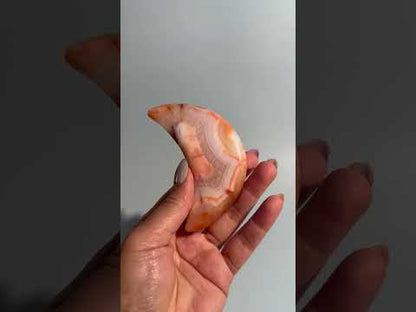 Carnelian Agate Crescent Moon on Black Stand – Option B | Confidence, Creativity & Joy Energy