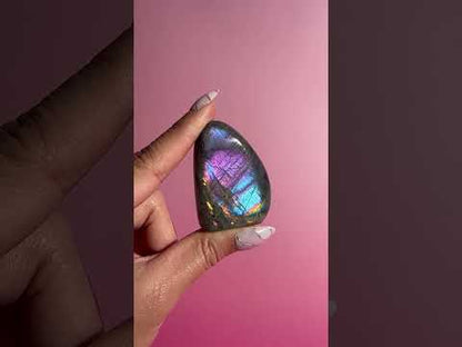 Small Blue and Purple Flash Labradorite Standing  Freeform – Option O