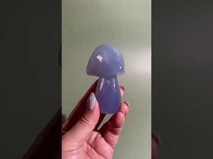Blue Chalcedony Mushroom Carving – Option H | Serenity, Wisdom & Emotional Balance