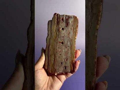 Pink Crazy Lace Agate Slab Option C | One-of-a-Kind Collector Crystal