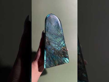 Extra Large Blue Flash Labradorite Standing  Freeform – Option C