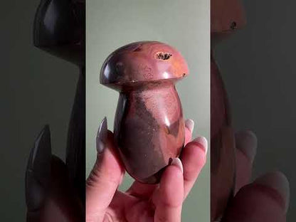 Polychrome Jasper Mushroom – Option F