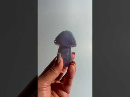 Blue Chalcedony Mushroom Carving – Option G | Harmony, Hope & Tranquility Energy | Calm, Clarity & Gentle Communication (Copy)