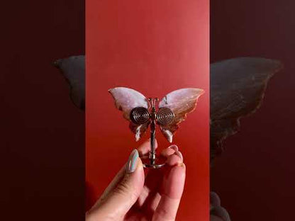 Sea Jasper Butterfly on Silver Stand | Joy, Tranquility & Emotional Renewal Crystal Décor