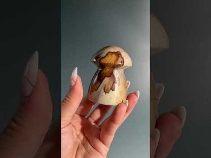 Polychrome Jasper Mushroom – Option B