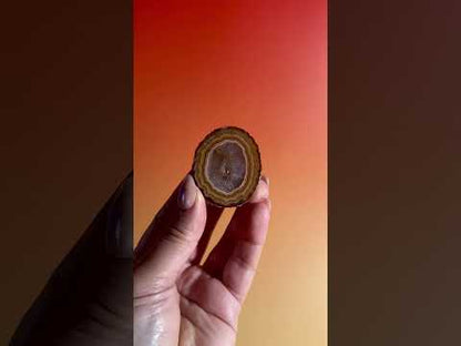 Zhanguo Agate Pair Option G | One-of-a-Kind Matching Agate Display Pair