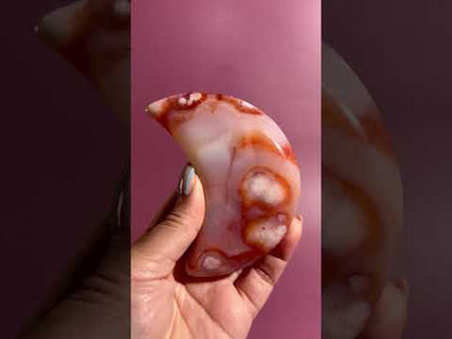 Carnelian Agate Crescent Moon on Black Stand – Option E | Success, Vitality & Abundance Energy