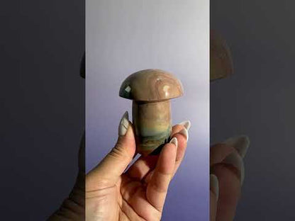 Polychrome Jasper Mushroom – Option C