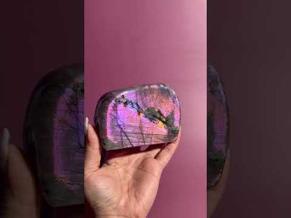 Large Purple Flash Labradorite Standing  Freeform – Option N