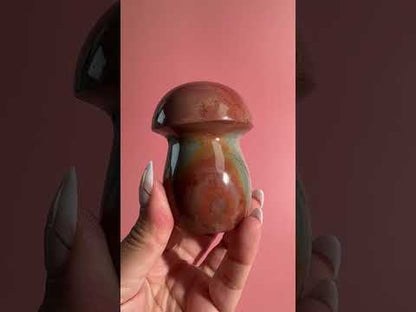 Polychrome Jasper Mushroom – Option D